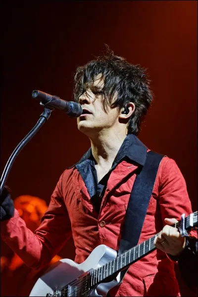 Quelle est la couleur préférée de Nicola Sirkis ?