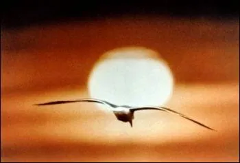 Quel est le nom du goland qui vole pour son plaisir dans un film, adpat d'un roman clbre, de 1975 ?