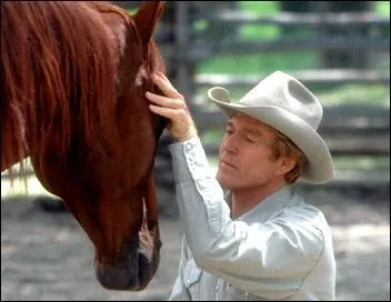 Quel est le nom du cheval de la jeune Grace, que sauve Robert Redford dans 'L'homme qui murmurait  l'oreille des chevaux' ?