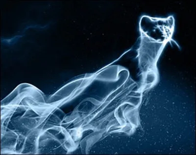 &Agrave; qui appartient ce Patronus ?