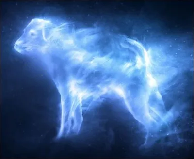&Agrave; qui appartient ce Patronus ?