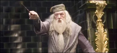 Comment s'appelle entièrement Dumbledore ?