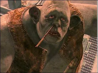 Qui décide, pour protéger la pierre philosophale, de placer un troll ?