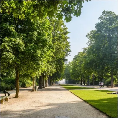 Tes sorties, c'est...