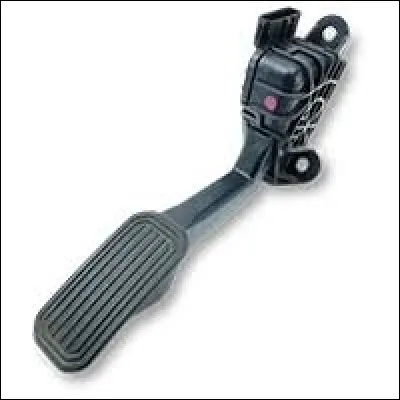 Le "laqué" est un...