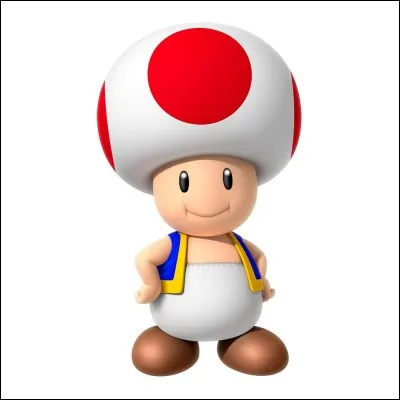 Qui est Toad ?