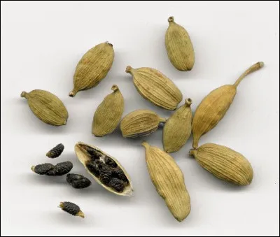 Quelle graine dissimule parfaitement l'haleine alcoolisée ?