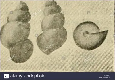 Quelle est l'une des deux sous-préfectures du département ayant pour numéro 27 ?