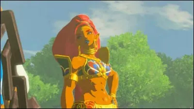 Que veut dire "Savaak" en gerudo ?