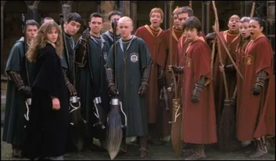 Dans quelle maison de Poudlard es-tu entre ces deux-là ?