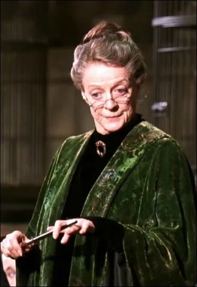 Ton professeur préféré à Poudlard est...