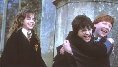 Ton/ta meilleur(e) ami(e) doit être...