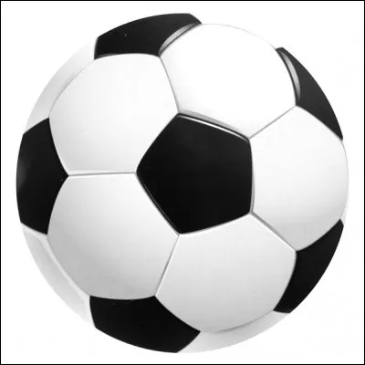 Quel est ton sport préféré ?