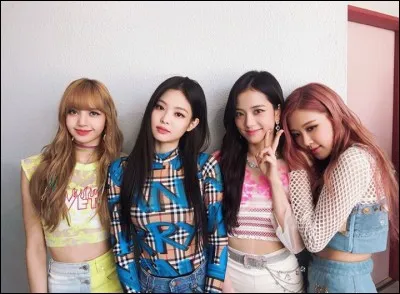 Si tu vois les Blackpink, tu...