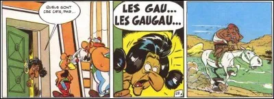 Celui-là, il fera deux propositions qui seront refusées avant de voir sa troisième proposition acceptée. En plus, au cours de l'aventure, il fera le vu de se laisser pousser les cheveux. Bien sûr, comme c'est l'assistant d'un adversaire d'Astérix et d'Obélix, il se prendra quelques beignes de leur part !
Dans la version anglaise, il se nomme « Krukhut » !
Qui est-il ?