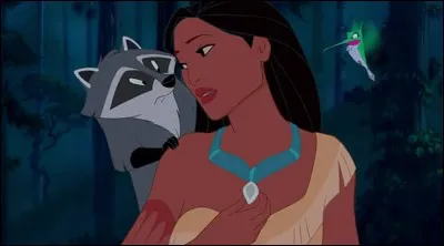 Comment s'appelle le raton laveur de Pocahontas ?