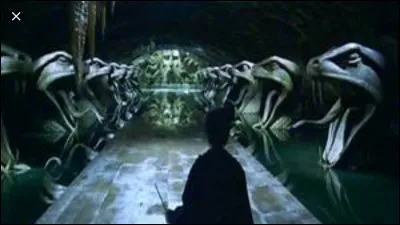 Par quel moyen peut-on accéder à la Chambre des Secrets ?