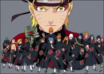 Quel est le but de l'Akatsuki ?