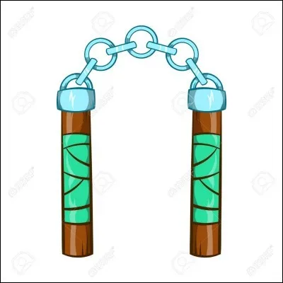 Quelles sont leurs armes ?