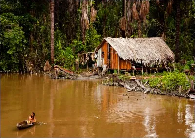 Le Président Bolsonaro du Brésil, agit contre la nature et les peuples indigènes en "mettant en danger leur vie" et l'écosystème, affirment-ils. Les Indigènes sont les 1res victimes de ses politiques : déjà 86 nouveaux pesticides en peu de mois.
Cet émule de Trump est une menace pour l'environnement, en construisant de nouvelles routes et des voies ferroviaires.
De quel fleuve menace-t-il la vie ?