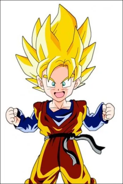 Quel type d'attaques préférez vous ?