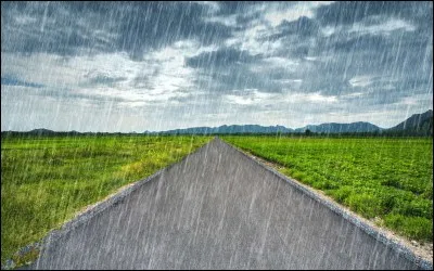 Comment appelle-t-on la précipitation qui est polluée par la combustion de combustibles et qui nuit à la faune et à la flore ?