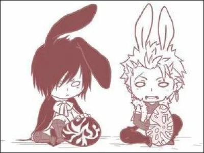 On les surnomme les "dragons jumeaux", il s'agit de :