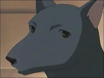 Les Sôma se transforment quand...