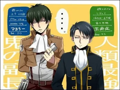 Quelle est la couleur des yeux de Livai ?