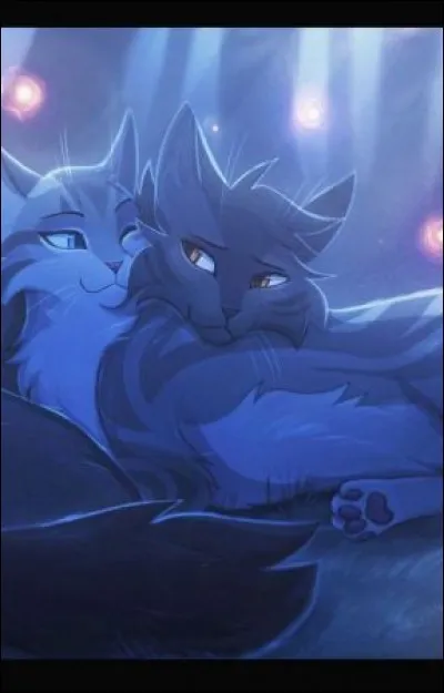 Tu apprends que ton meilleur ami ou ta meilleure amie sort avec un(e) guerrier/ère d'un clan adverse, que fais-tu ?