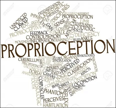 "Pythagore avait raison, beaucoup d'entre nous se contentent du petit monde étriqué de la maison qu'ils habitent. Leur ignorance les rassure, la curiosité des autres les inquiète. Ils veulent des journées qui se ressemblent, que demain soit un autre hier, et que tout ce qui s'est passé se reproduise."