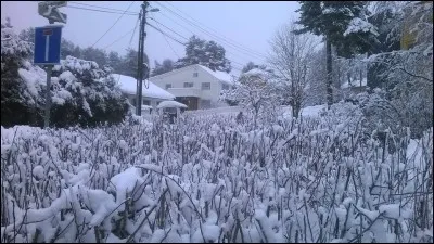 J'ai découvert cette ville du nord de l'Europe en hiver 2014 avec mon neveu. Nous sommes arrivés sous un froid glacial, il faisait -12°c ! Nous fûmes surpris par ces paysages immaculés de toute beauté. Le lendemain, nous sommes allés visiter le Musée national des Techniques et de la Science. Un souvenir mémorable. Puis je décidais de m'offrir des CD du jazzman Nils Petter Molvaer, un régal !
