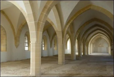 Cette ancienne abbaye cistercienne, fondée en 1115 dans le sud de la Champagne, a eu un rayonnement considérable; au début du XVIIIe siècle, la plus grande partie des bâtiments médiévaux est démolie afin de reconstruire une abbaye monumentale de style classique. Le site est utilisé depuis 1806 depuis pour abriter un centre pénitentiaire. Il s'agit de ...