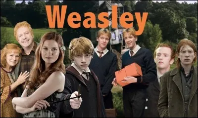 Quelle est leur caractéristique ?