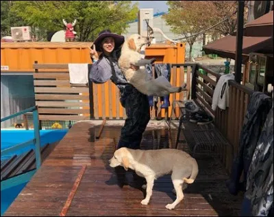 Que nous propose cette image, tout à fait ordinaire à première vue, de cette jeune fille amenant ses animaux au vétérinaire ?