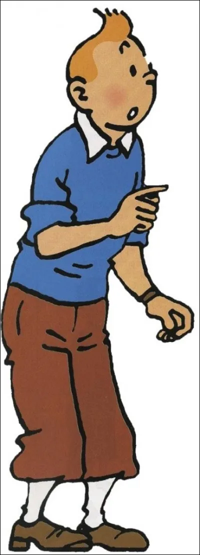 Lion de mer, c'est le...