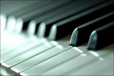 Quel nom porte l'ensemble des touches noires et blanches d'un piano ?