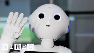 Quelle est la mission du robot Robo Simian ?