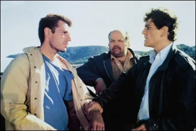 Dans quel film peut-on le voir ainsi ?