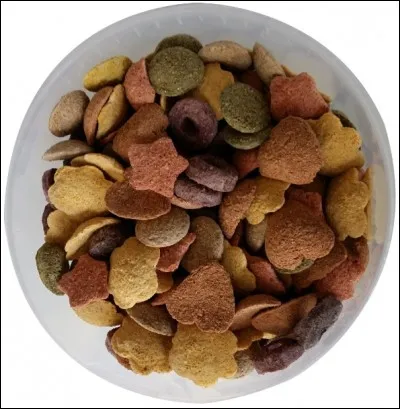 On récompense un cheval ...