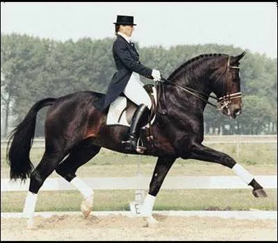 Pour faire avancer le cheval, ...