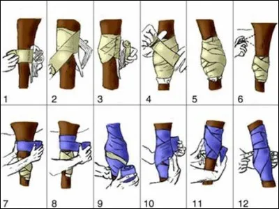 Si un cheval est blessé,...