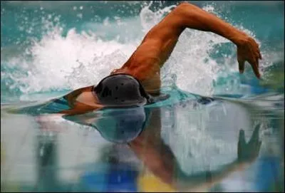 Laquelle de ces nages est la plus rapide ?