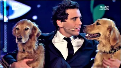 Comment s'appelle(nt) son/ses chien(s) ?