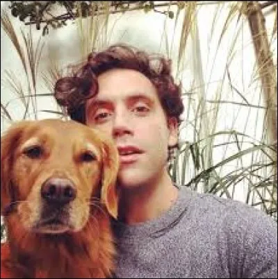 Combien de chiens a Mika ?