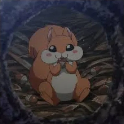 Comment s'appelle l'écureuil de Shin-Ah ?