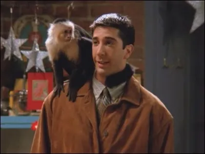 Comment s'appelle le singe de Ross ?