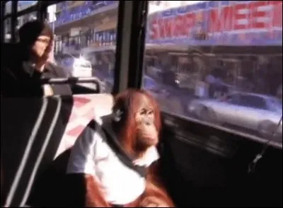 Généralement, le port de la ceinture en autobus est de rigueur.