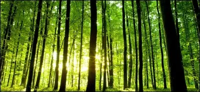 Quel est le nom de l'une des trois sous-préfectures du département numéroté 08 ?