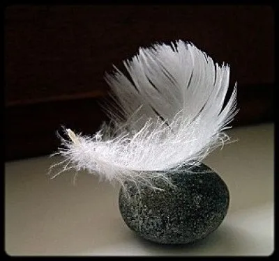 Quel est le plus lourd ?